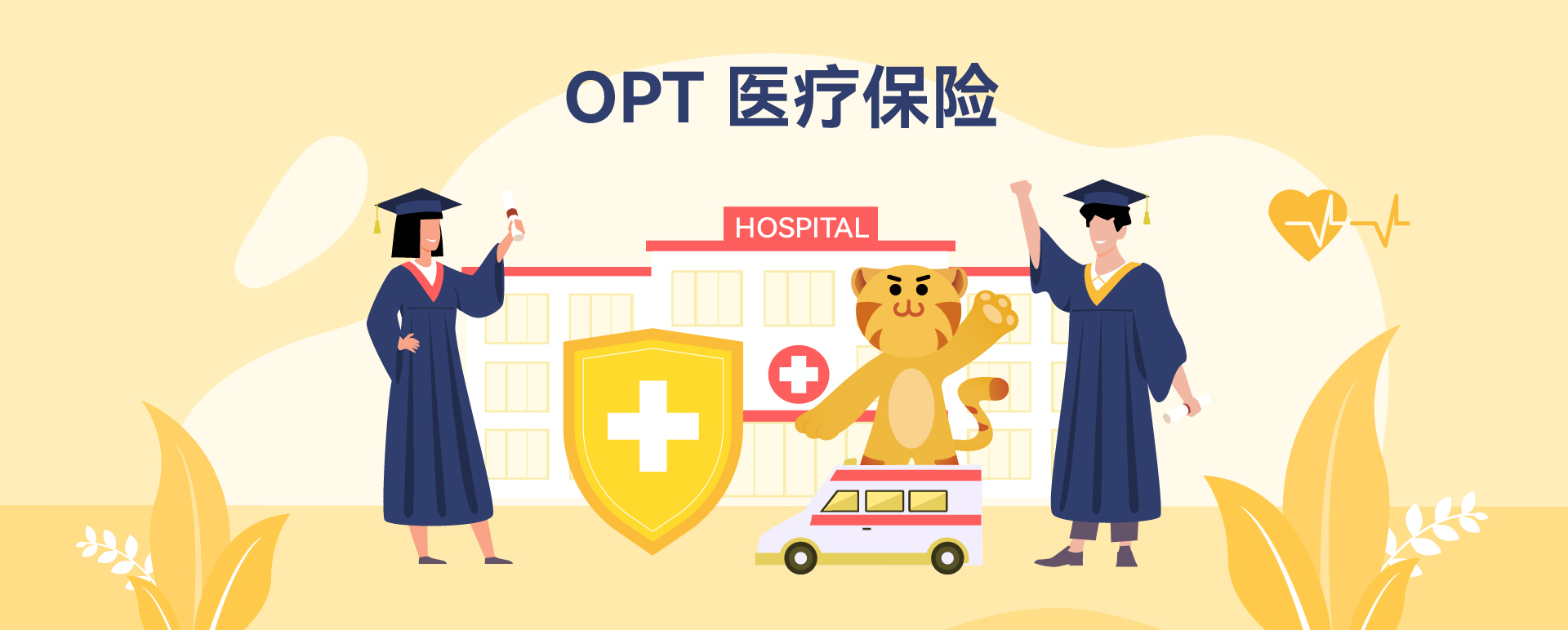 OPT医疗保险